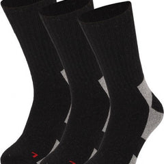 Collection image for: Apollo