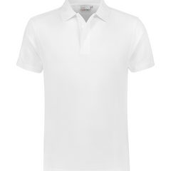 Collection image for: Werkpolo's